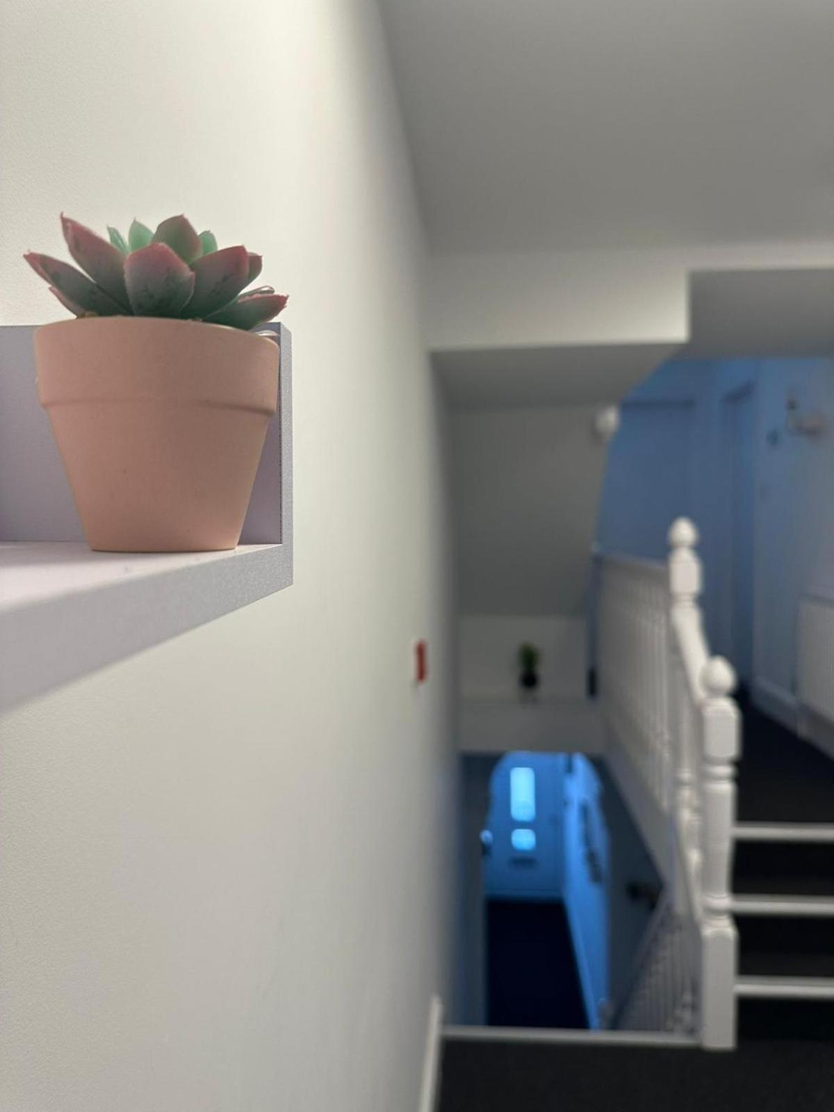 Cambridge Central Rooms - Tas Accommodations Екстер'єр фото
